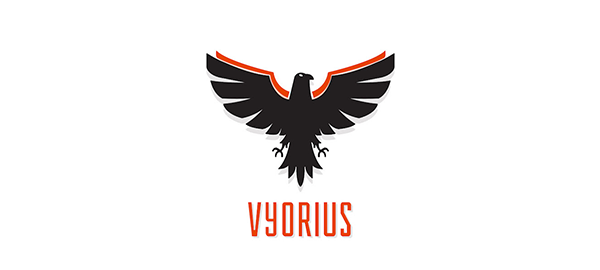 Vyorius Drones